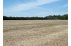Property photo 1 - 98 +/- Acres Offered in 3 Tracts